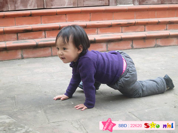 Vồ ếch
