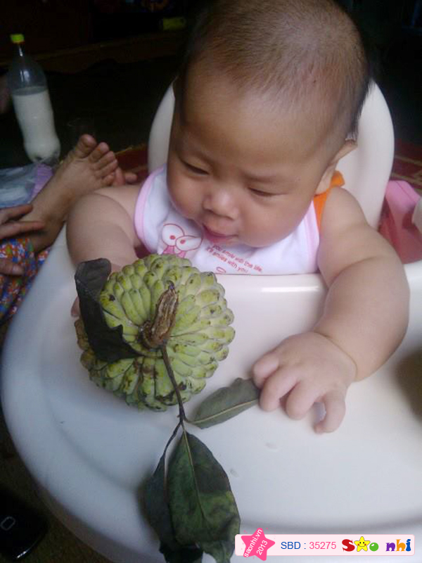 Bé Trần Vũ Linh Đan
