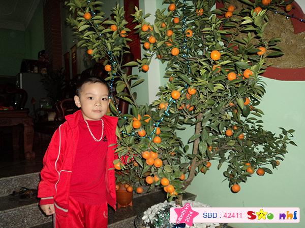 Bé Nguyễn Chí Hưng