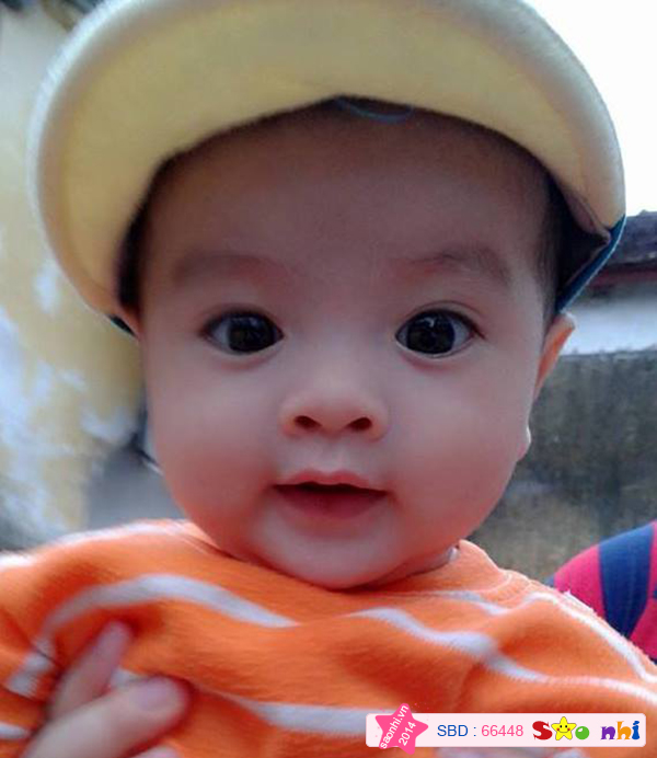 cho bin chuột chụp ảnh với