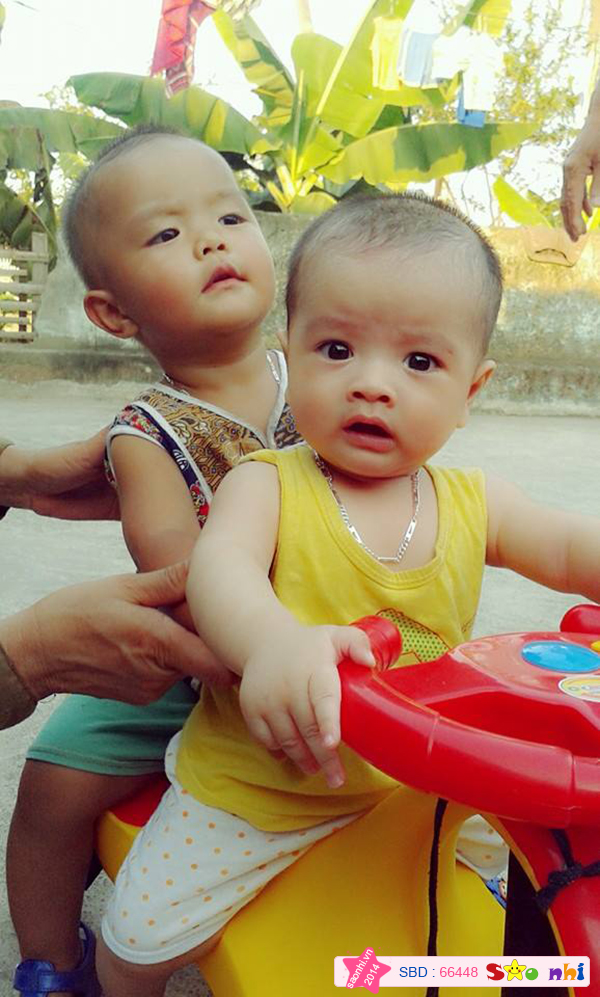 ngồi chắc vào anh bờm !
