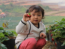 Nguyễn Hạnh Thảo Nguyễn Hạnh Thảo
