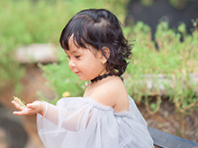Trương thị kim chi Trương thị kim chi