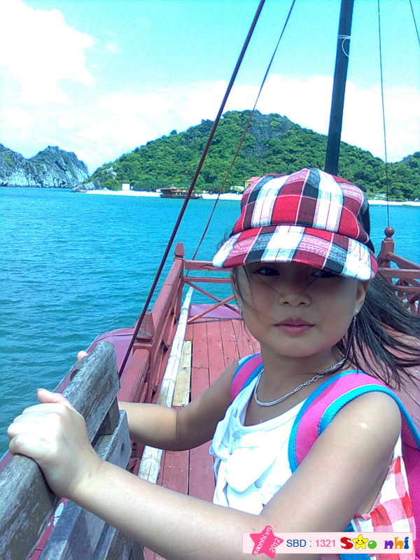haidang1