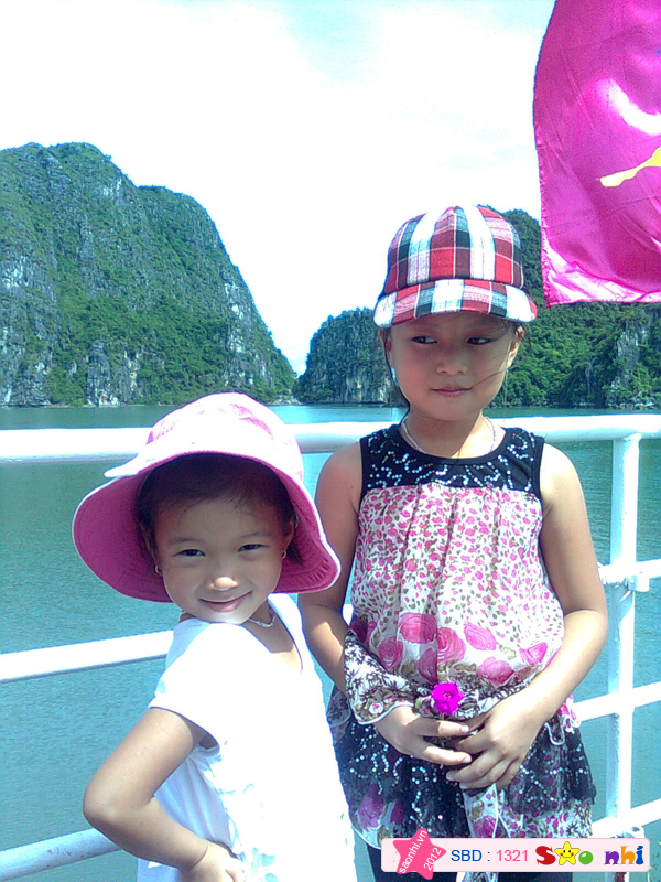 haidang3