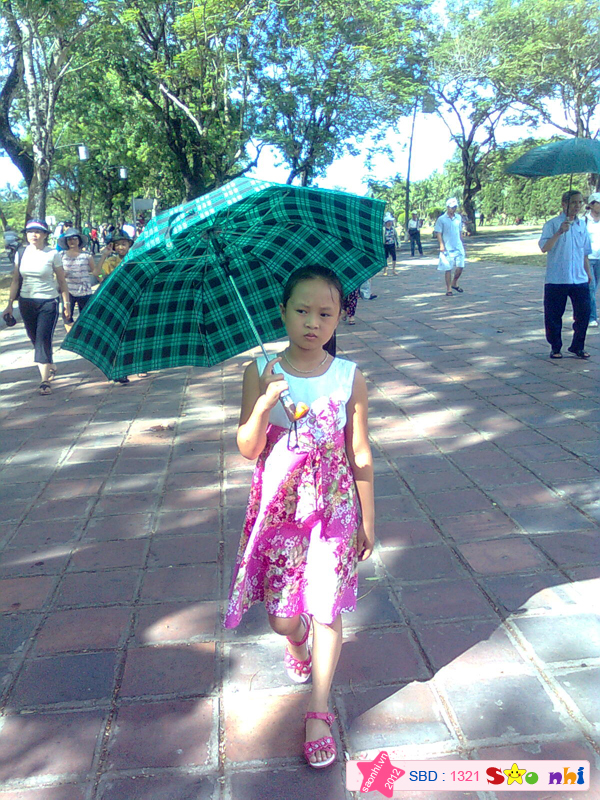 haidang4