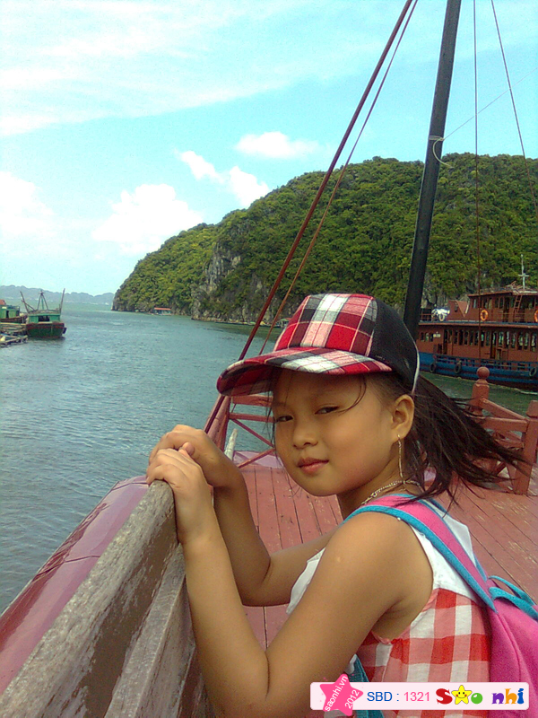 haidang2