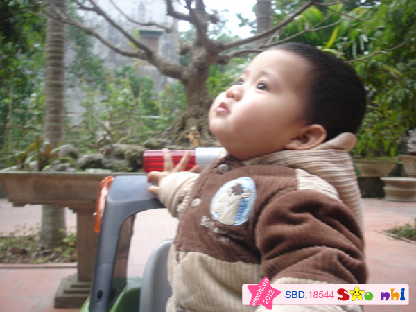 Phung Tien Minh