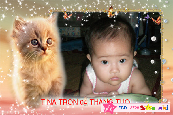 TINA TET 2012